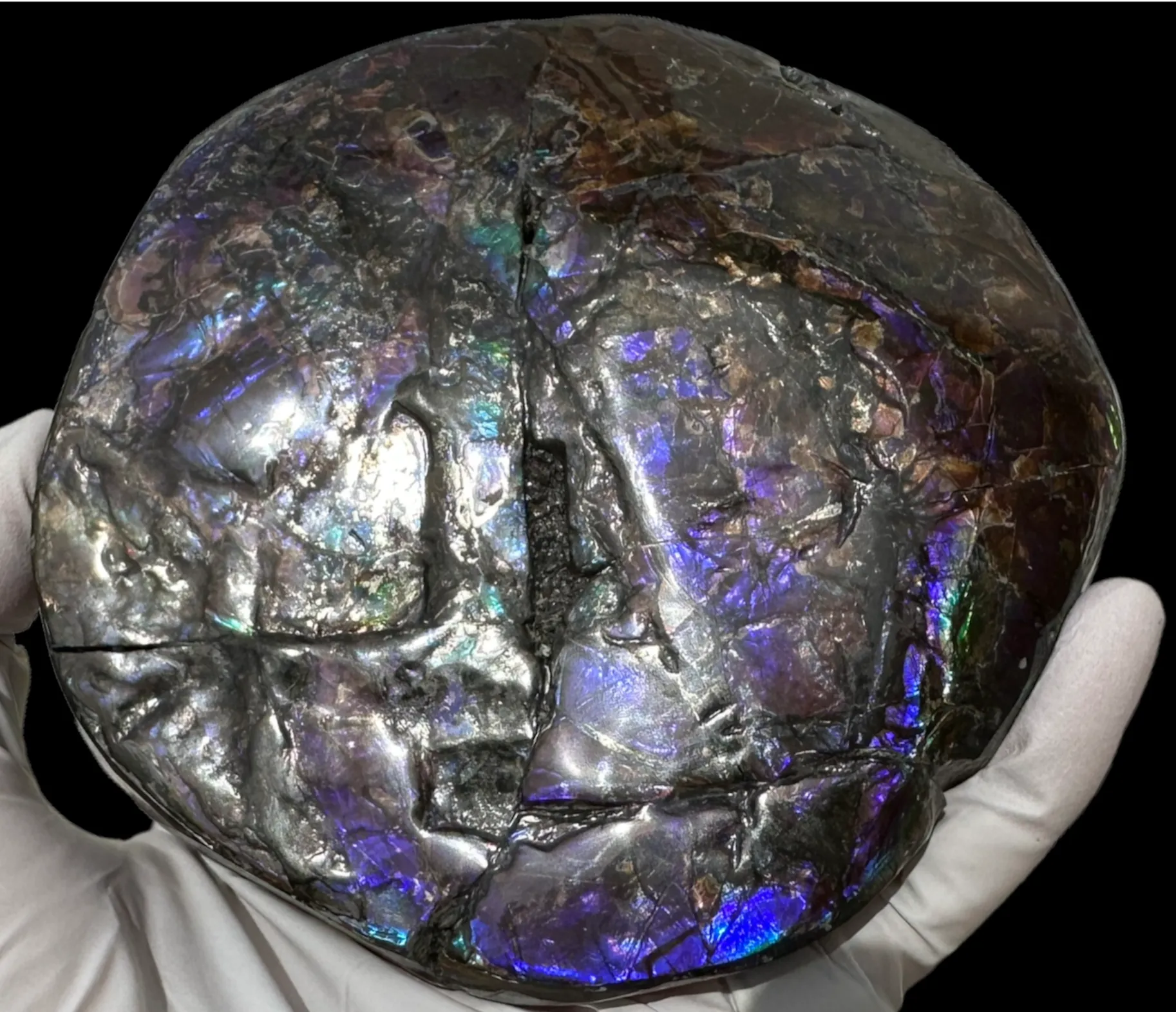 4.33" HIGH Grade Double-Sided Handheld Gem Specimen, Natural Freeform  CS-228 * Ammolite  Free Shipping! ナチュラル　ルース　アンモライトFREE SHIPPING!