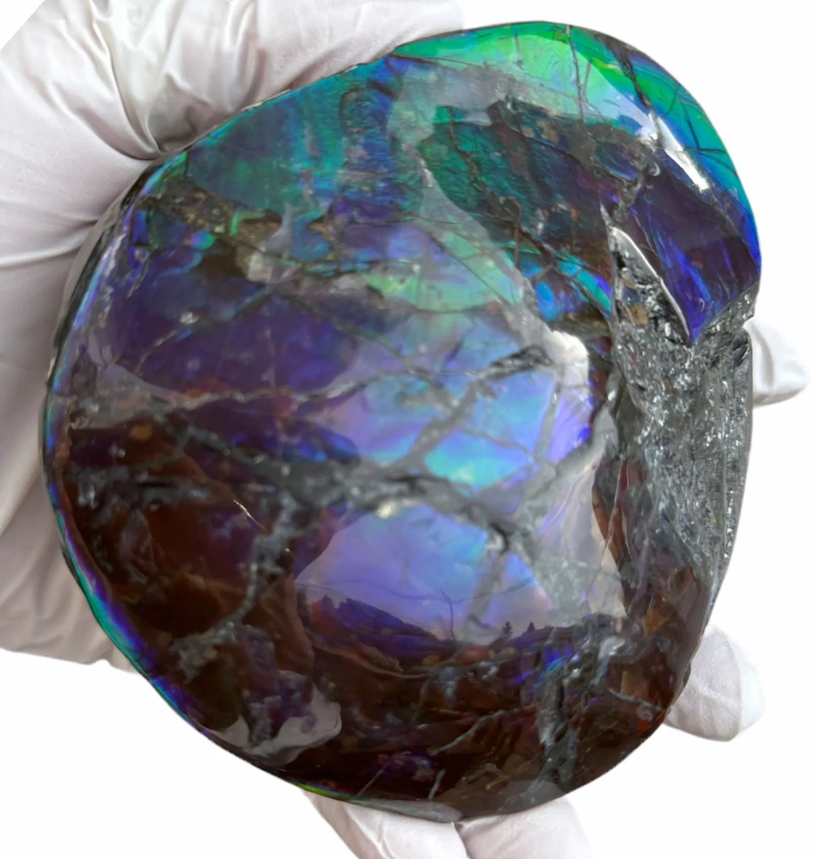 4.33" HIGH Grade Double-Sided Handheld Gem Specimen, Natural Freeform  CS-228 * Ammolite  Free Shipping! ナチュラル　ルース　アンモライトFREE SHIPPING!