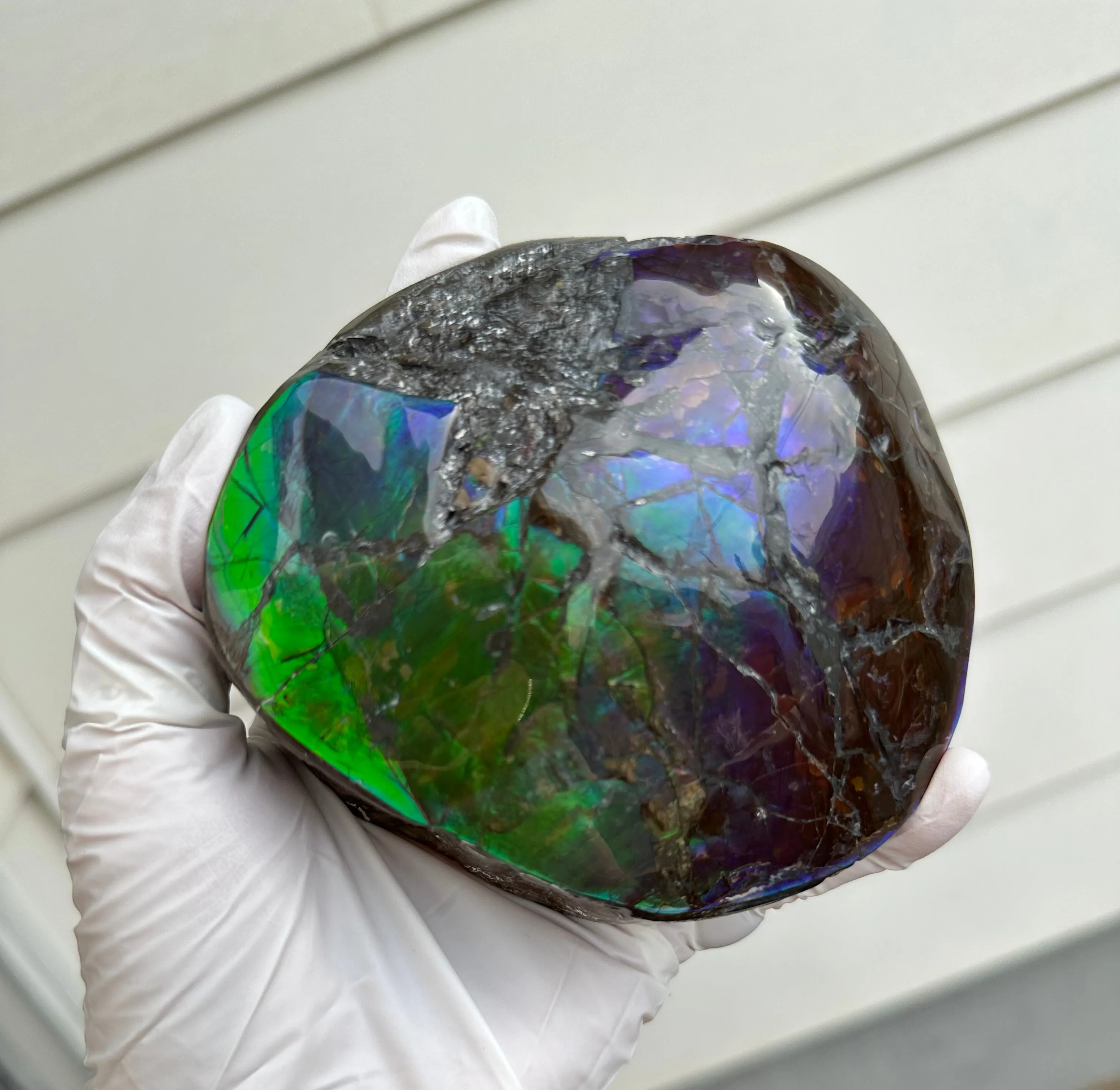 4.33" HIGH Grade Double-Sided Handheld Gem Specimen, Natural Freeform  CS-228 * Ammolite  Free Shipping! ナチュラル　ルース　アンモライトFREE SHIPPING!