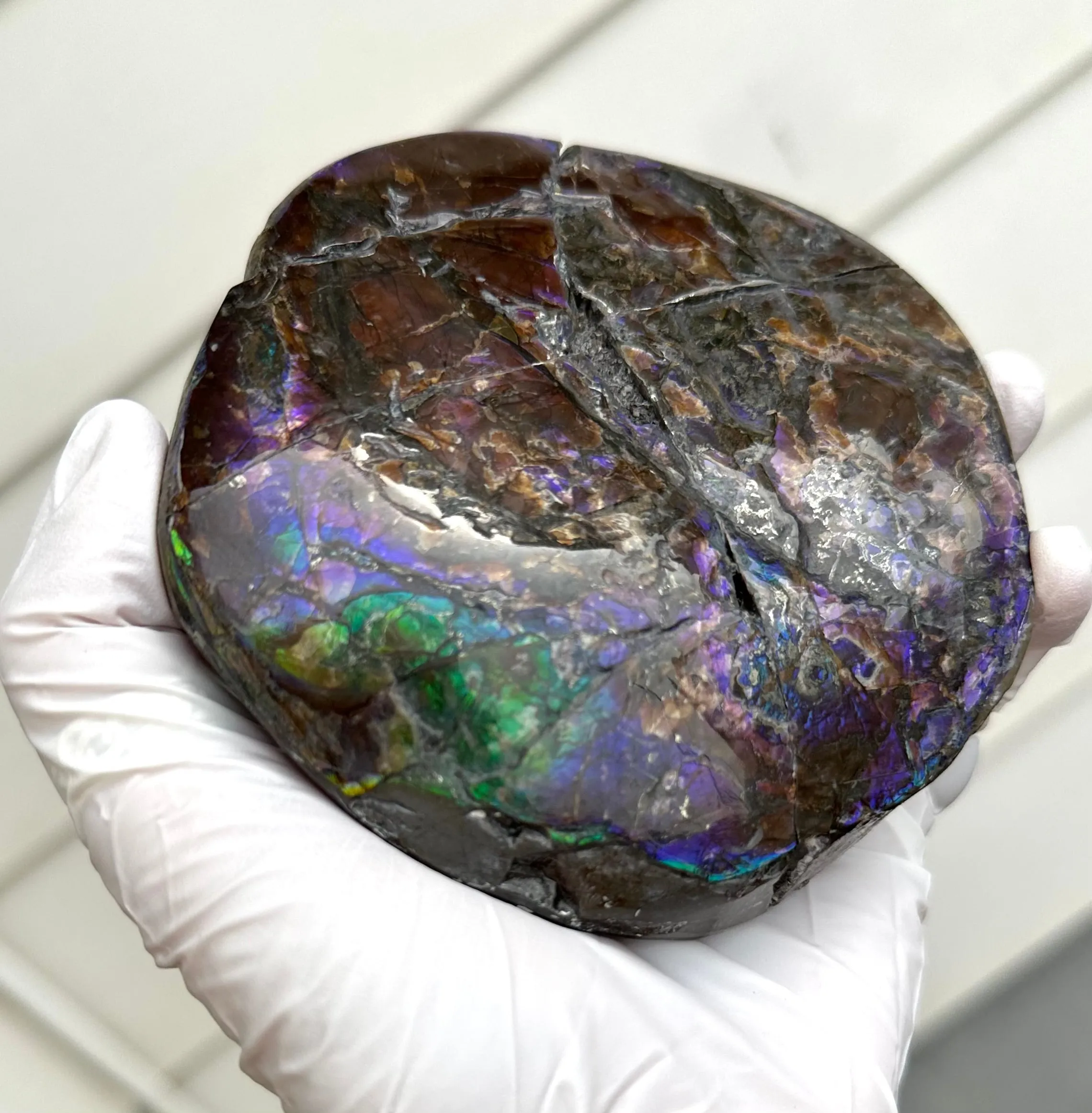 4.33" HIGH Grade Double-Sided Handheld Gem Specimen, Natural Freeform  CS-228 * Ammolite  Free Shipping! ナチュラル　ルース　アンモライトFREE SHIPPING!