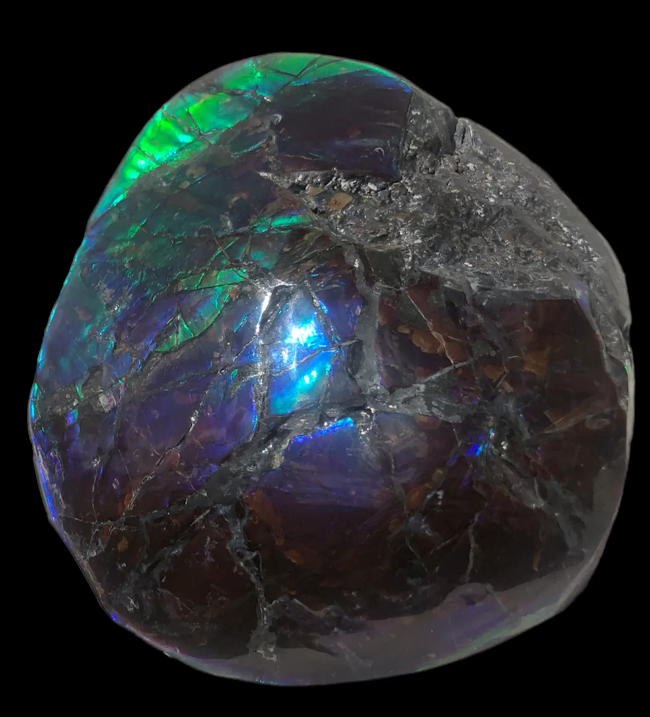 4.33" HIGH Grade Double-Sided Handheld Gem Specimen, Natural Freeform  CS-228 * Ammolite  Free Shipping! ナチュラル　ルース　アンモライトFREE SHIPPING!