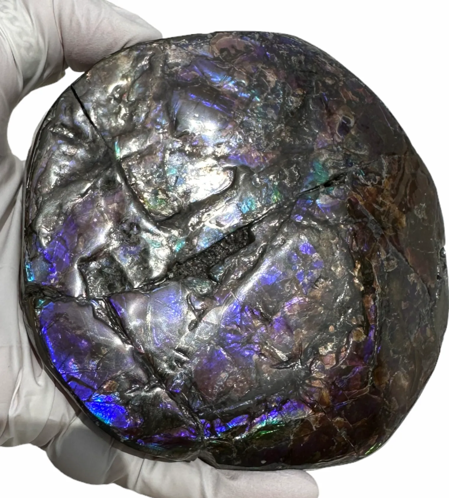 4.33" HIGH Grade Double-Sided Handheld Gem Specimen, Natural Freeform  CS-228 * Ammolite  Free Shipping! ナチュラル　ルース　アンモライトFREE SHIPPING!
