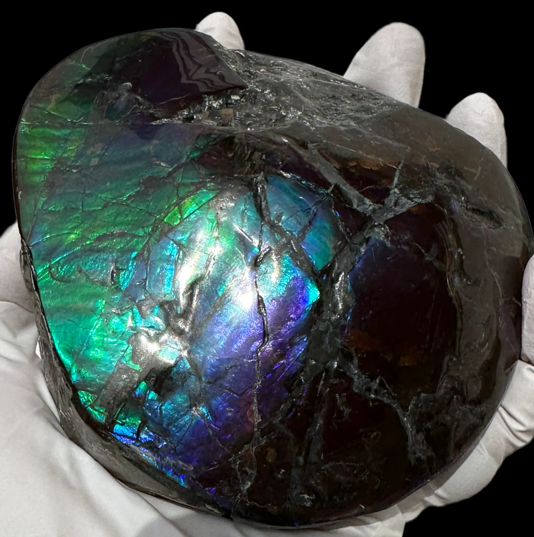 4.33" HIGH Grade Double-Sided Handheld Gem Specimen, Natural Freeform  CS-228 * Ammolite  Free Shipping! ナチュラル　ルース　アンモライトFREE SHIPPING!