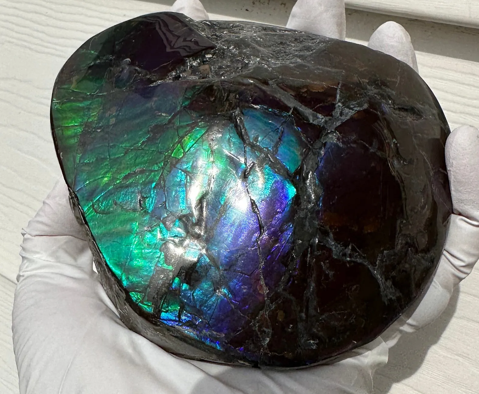 4.33" HIGH Grade Double-Sided Handheld Gem Specimen, Natural Freeform  CS-228 * Ammolite  Free Shipping! ナチュラル　ルース　アンモライトFREE SHIPPING!