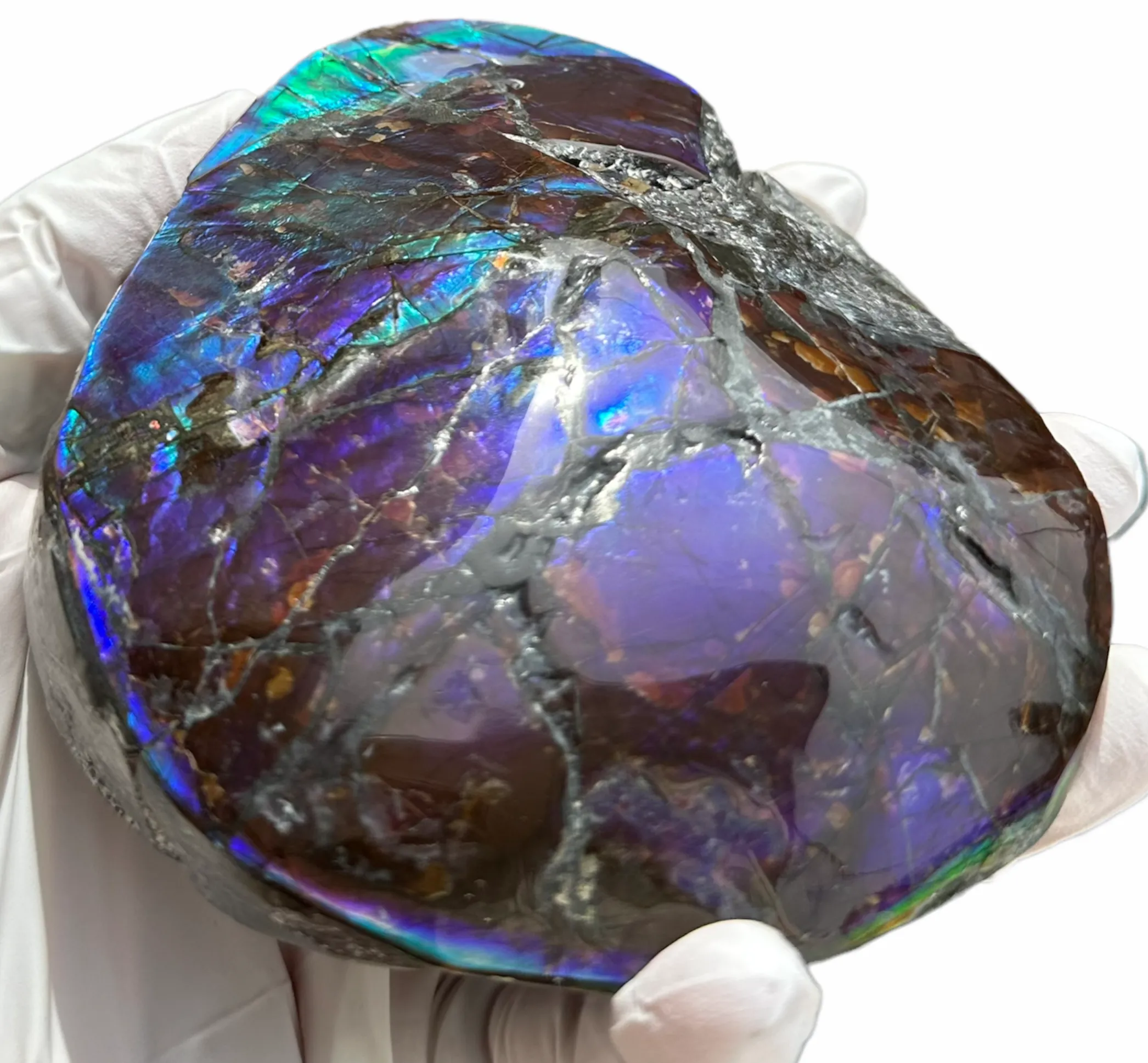 4.33" HIGH Grade Double-Sided Handheld Gem Specimen, Natural Freeform  CS-228 * Ammolite  Free Shipping! ナチュラル　ルース　アンモライトFREE SHIPPING!