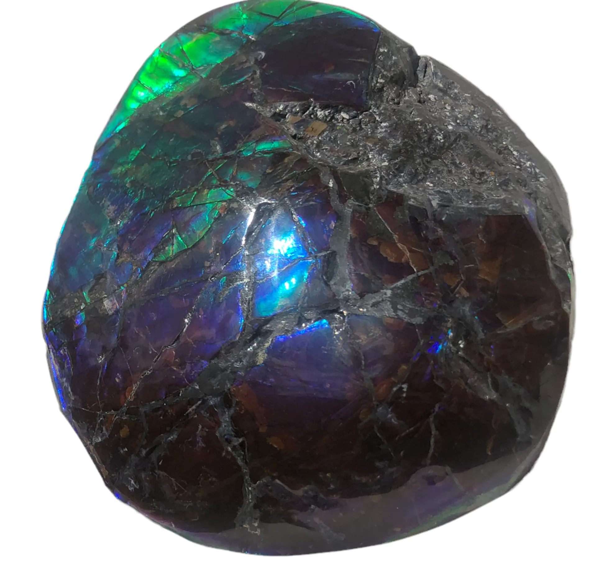 4.33" HIGH Grade Double-Sided Handheld Gem Specimen, Natural Freeform  CS-228 * Ammolite  Free Shipping! ナチュラル　ルース　アンモライトFREE SHIPPING!