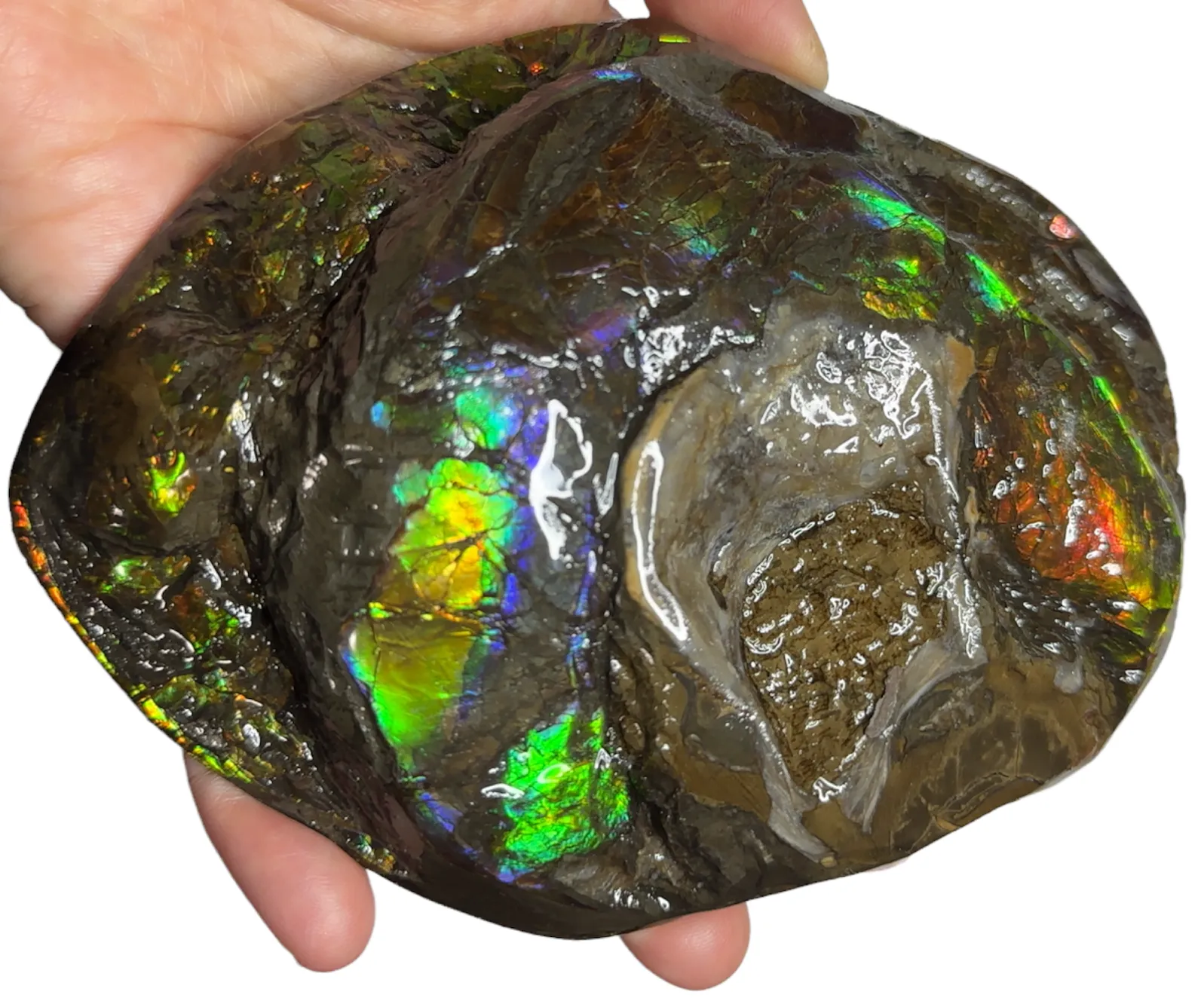 5.27 RARE High Grade Double-Sided Handheld Gem Specimen,   CS-232 * Ammolite  Free Shipping! アンモライトFREE SHIPPING!