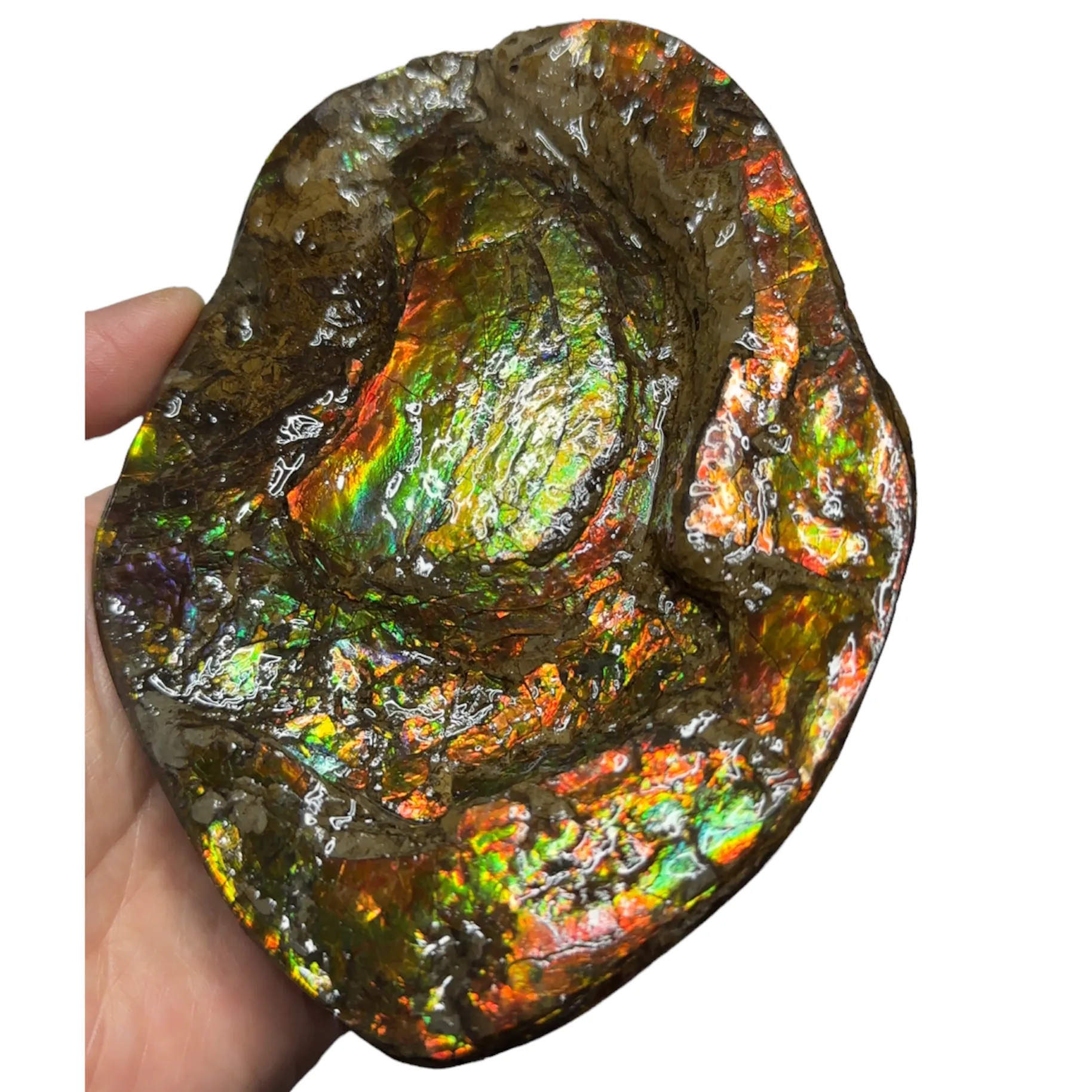 5.27 RARE High Grade Double-Sided Handheld Gem Specimen,   CS-232 * Ammolite  Free Shipping! アンモライトFREE SHIPPING!