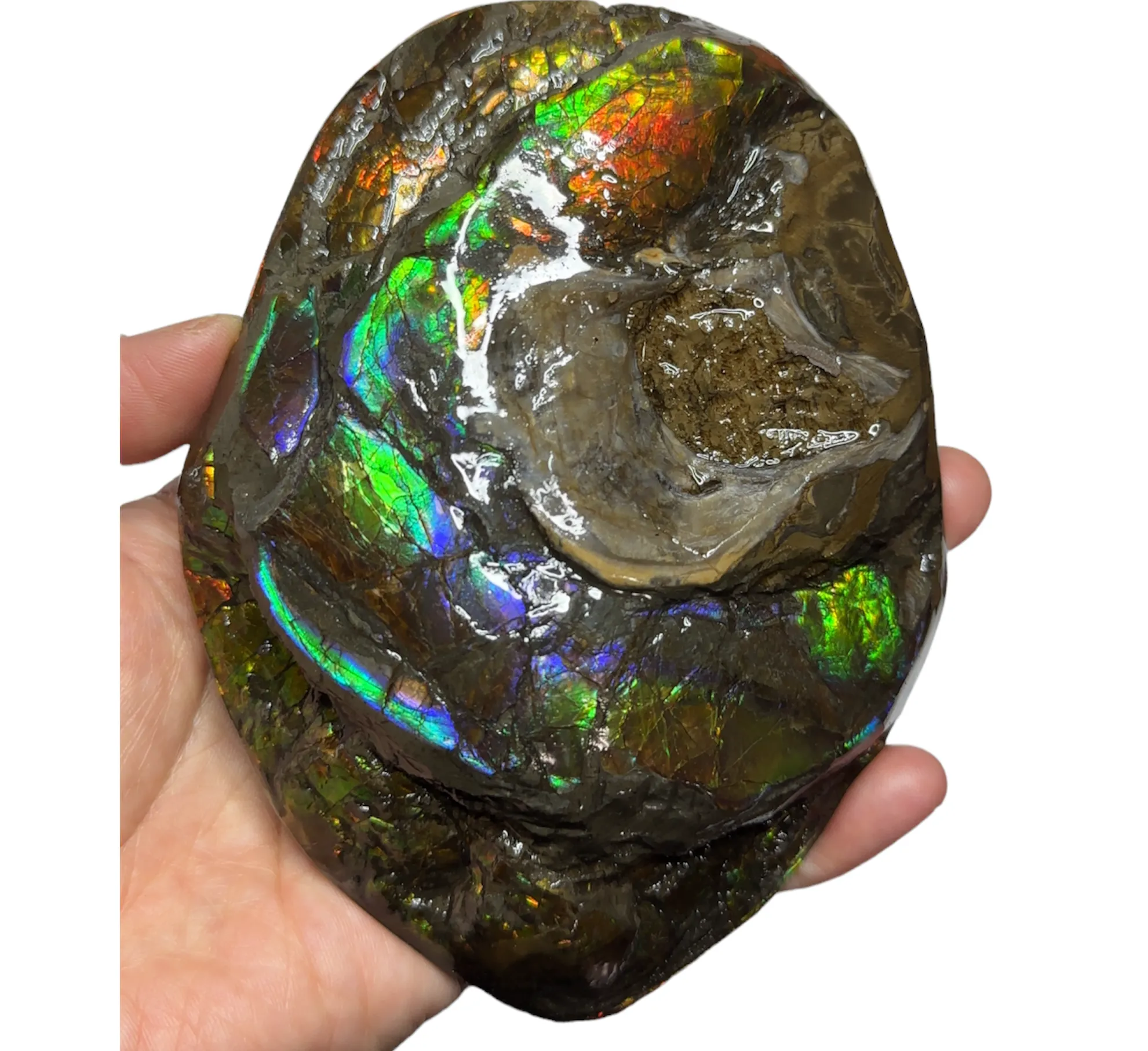 5.27 RARE High Grade Double-Sided Handheld Gem Specimen,   CS-232 * Ammolite  Free Shipping! アンモライトFREE SHIPPING!