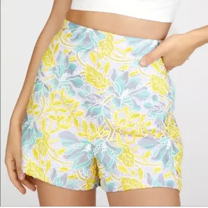 Anthropologie Hutch Pastel Lace Shorts