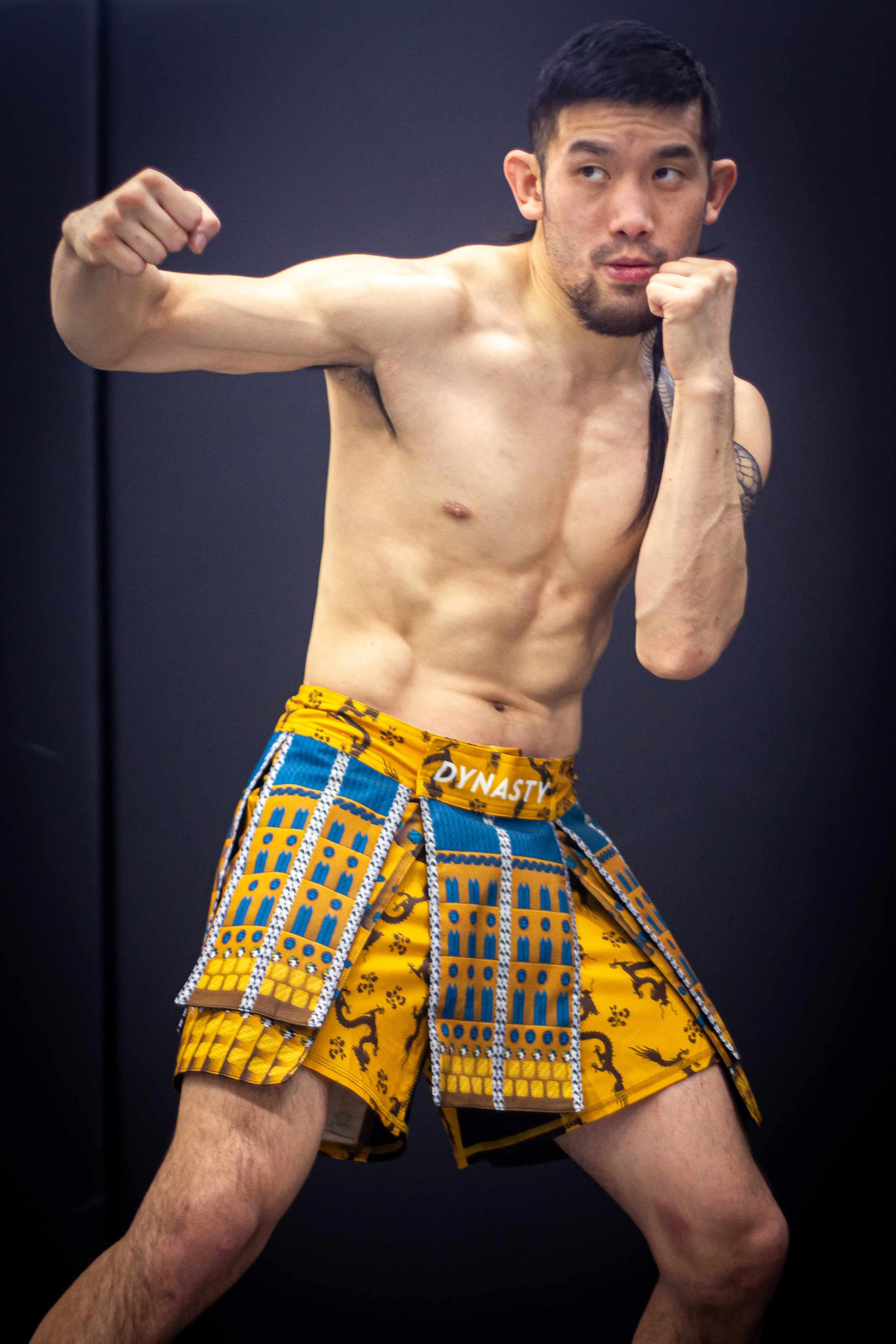 Bushido Samurai Armor Fight Shorts (Gold)