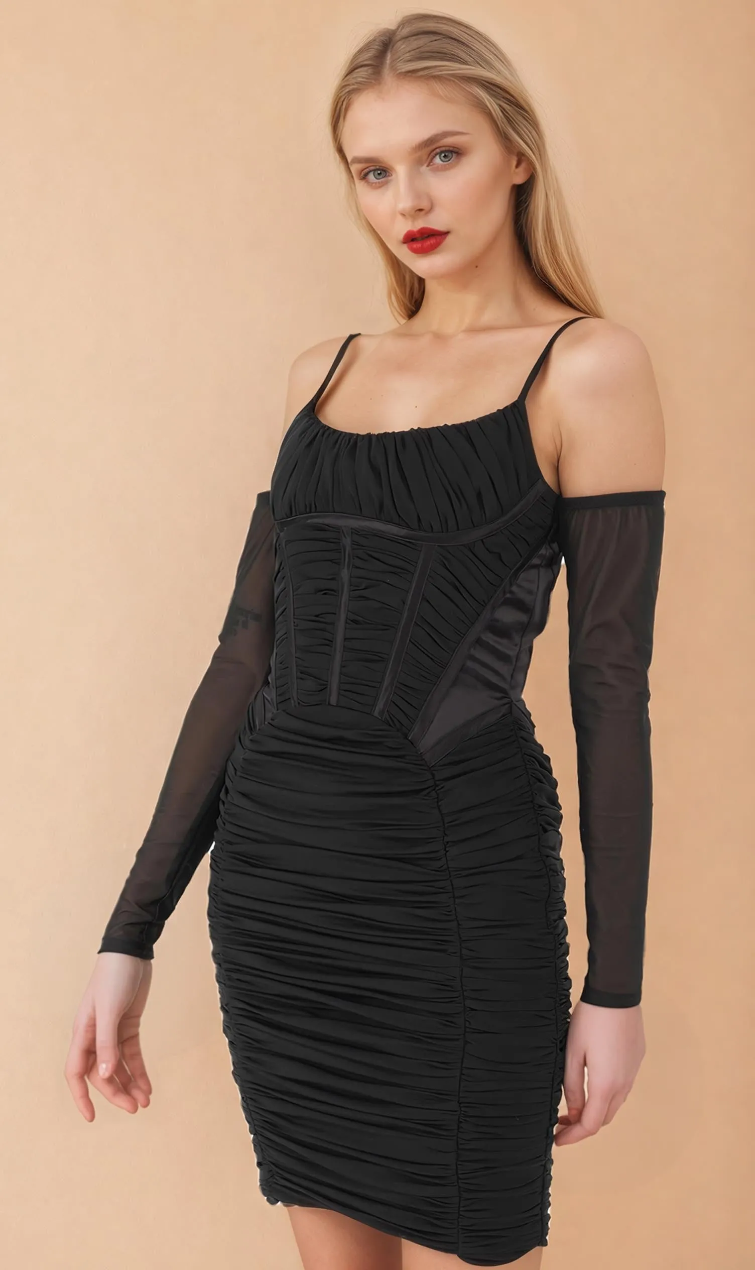 Carlee Mesh Black Corset Dress