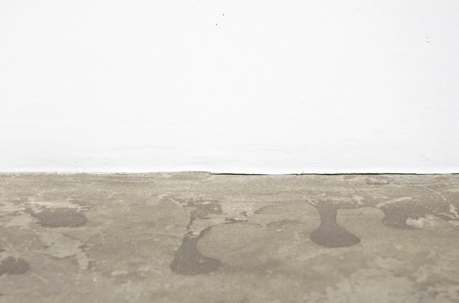 Casey Kaplan (Liam Gillick: Scorpion and und et Felix)