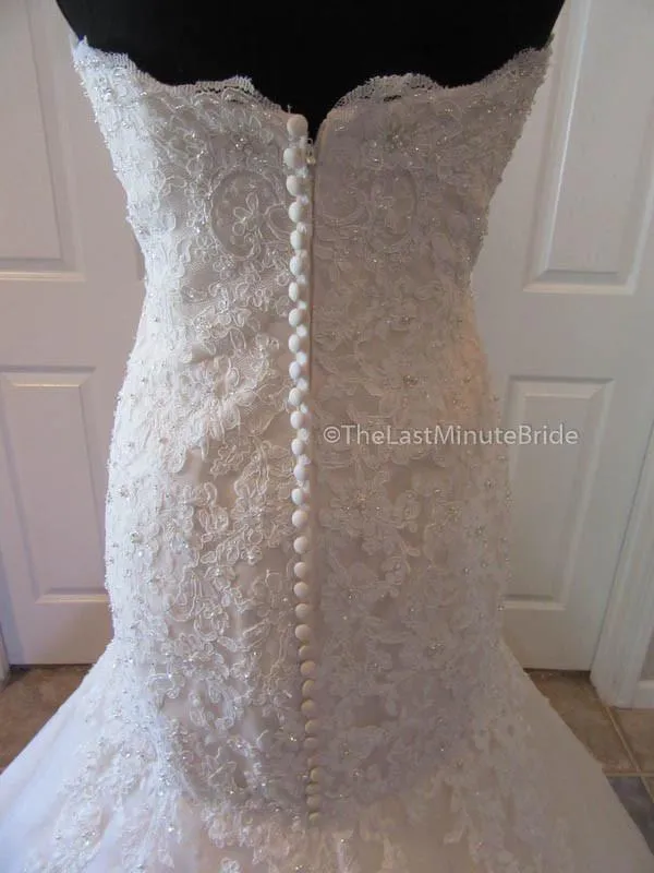 David Tutera Thea 116225