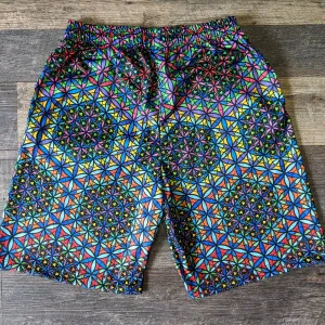 Double Vision Gym Shorts