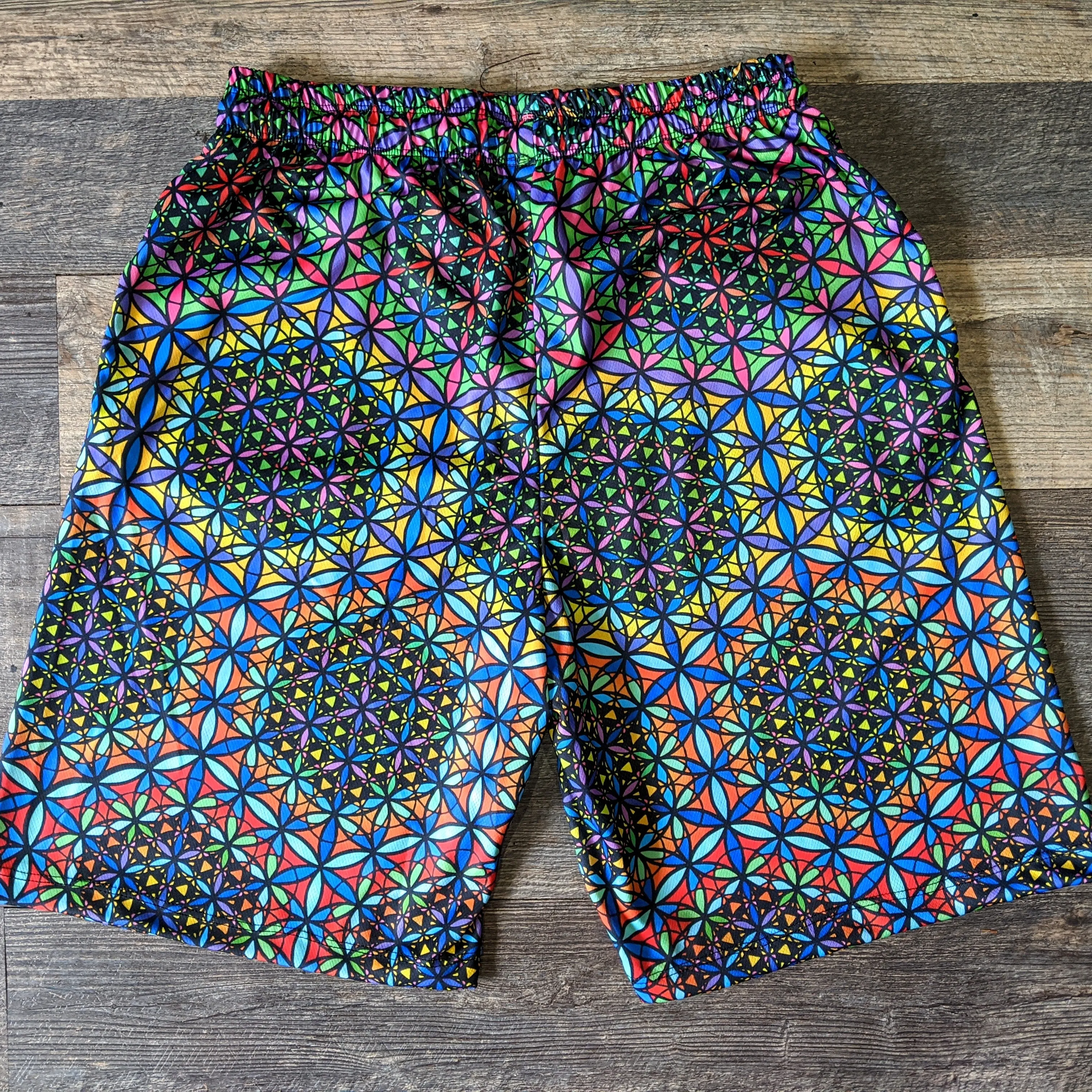 Double Vision Gym Shorts