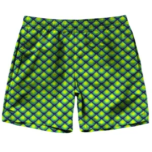 Dragon Scales Shorts