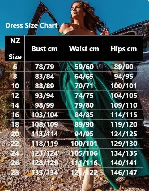 Eliza plus size event dress in dusky rose s24 Express NZ wide