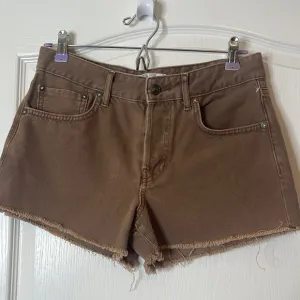Free People Brown Denim Shorts 27