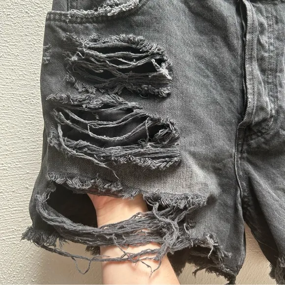 Free People We The Free Distressed Denim Shorts