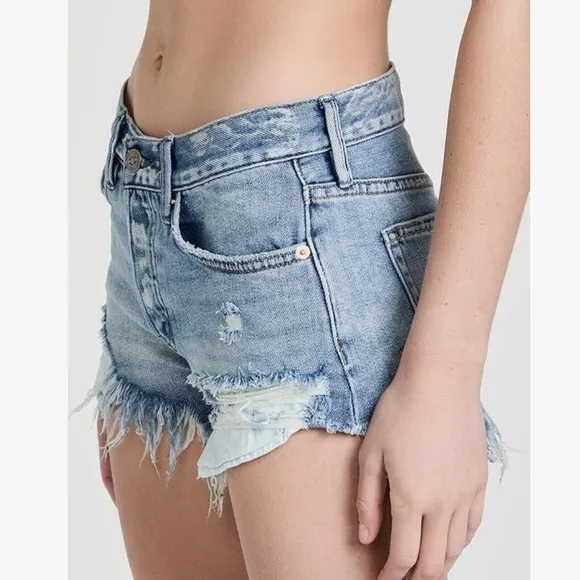 Free People We the Free Loving Good Vibrations Distressed Denim Shorts Sz. 24