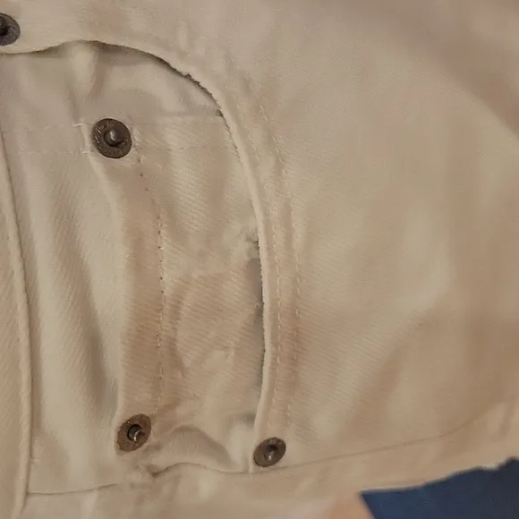 Free People we the free Sofia distressed button fly shorts