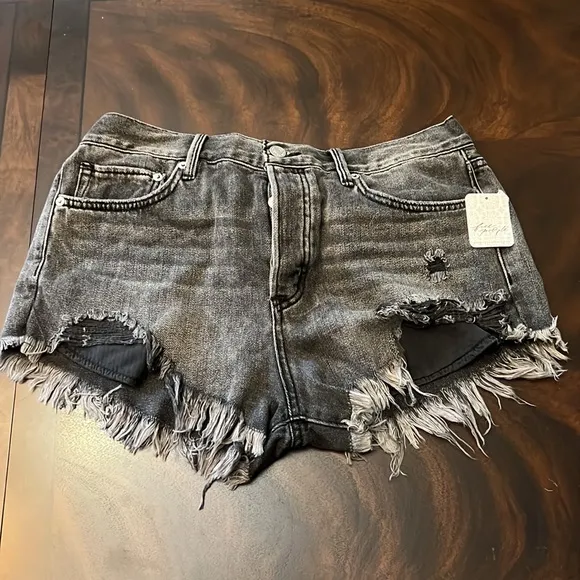 Free PeopleLoving Good Vibrations Shorts