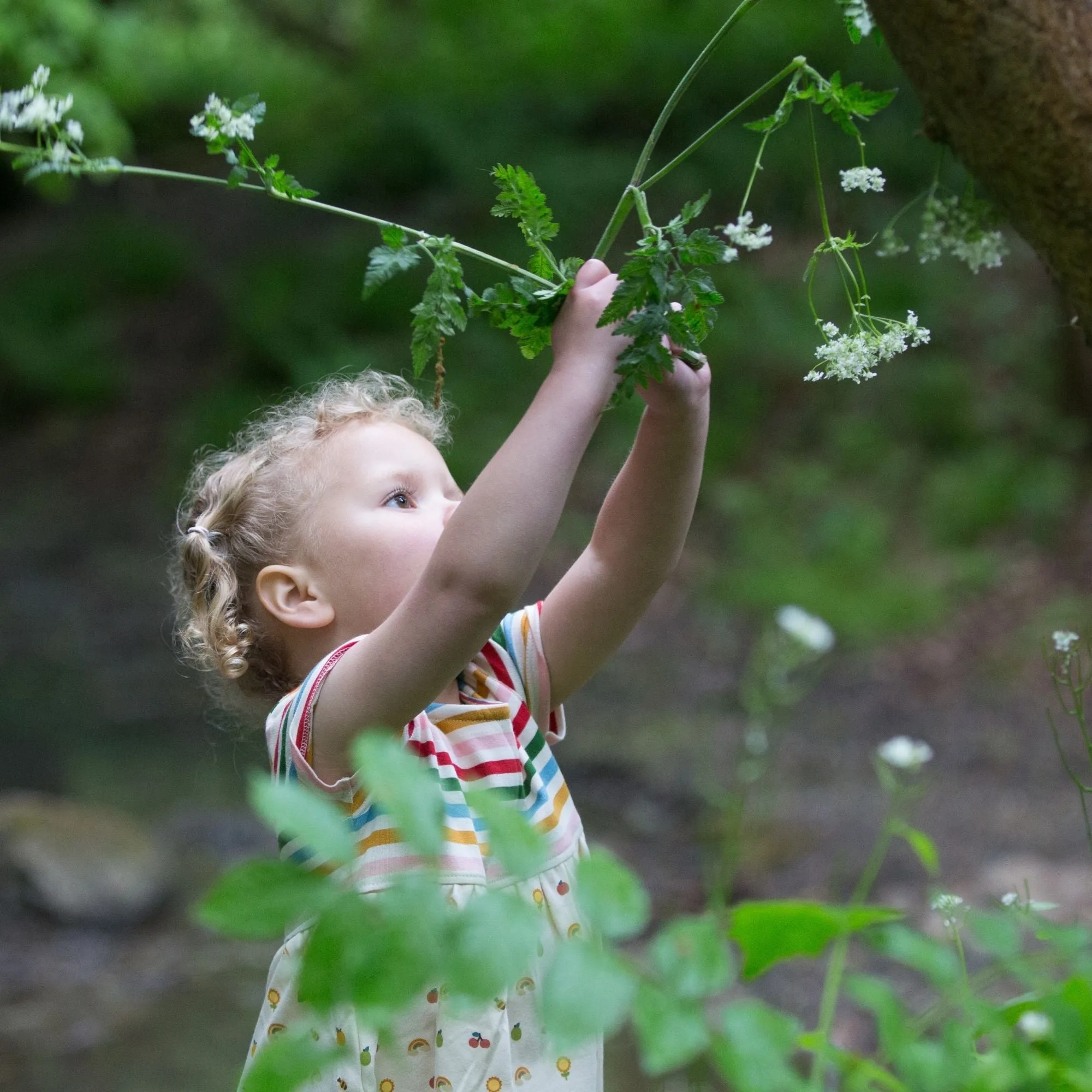 Garden Days Easy Peasy Summer Dress