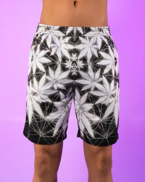HIGH TIMES SHORTS