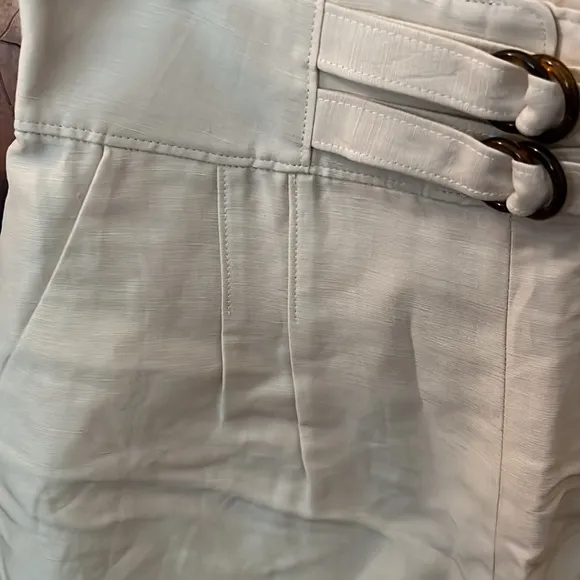 Joie Tailored Brenten Pleated Women’s Shorts.