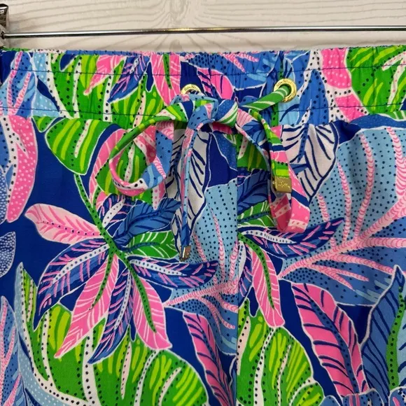 Lilly Pulitzer Katia Mid-Rise Shorts Size Small Blue Grotto Beleaf in Yourself