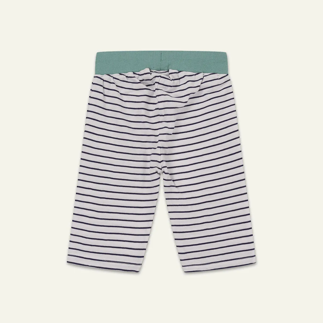 Multicoloured Tiger And Stripe Shorts - 2 Pack