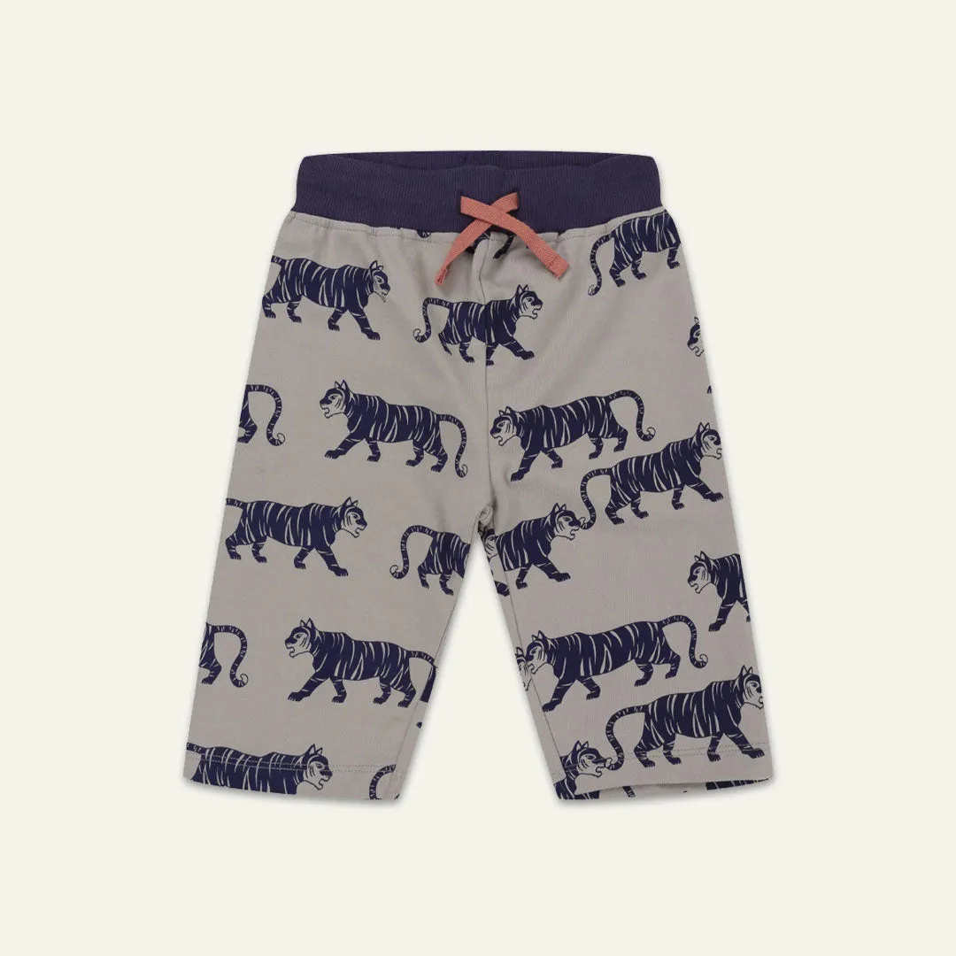 Multicoloured Tiger And Stripe Shorts - 2 Pack