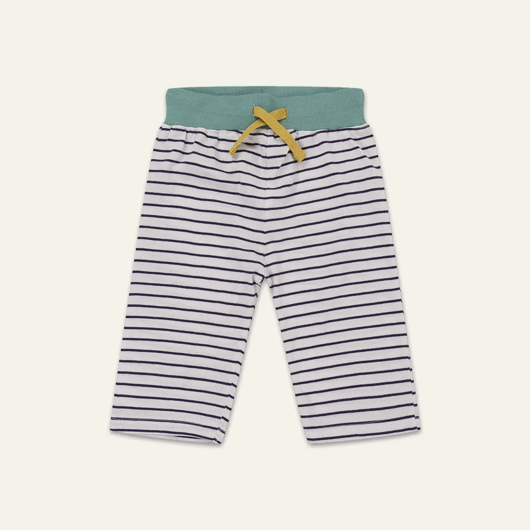 Multicoloured Tiger And Stripe Shorts - 2 Pack