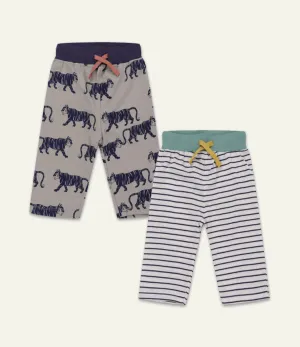 Multicoloured Tiger And Stripe Shorts - 2 Pack
