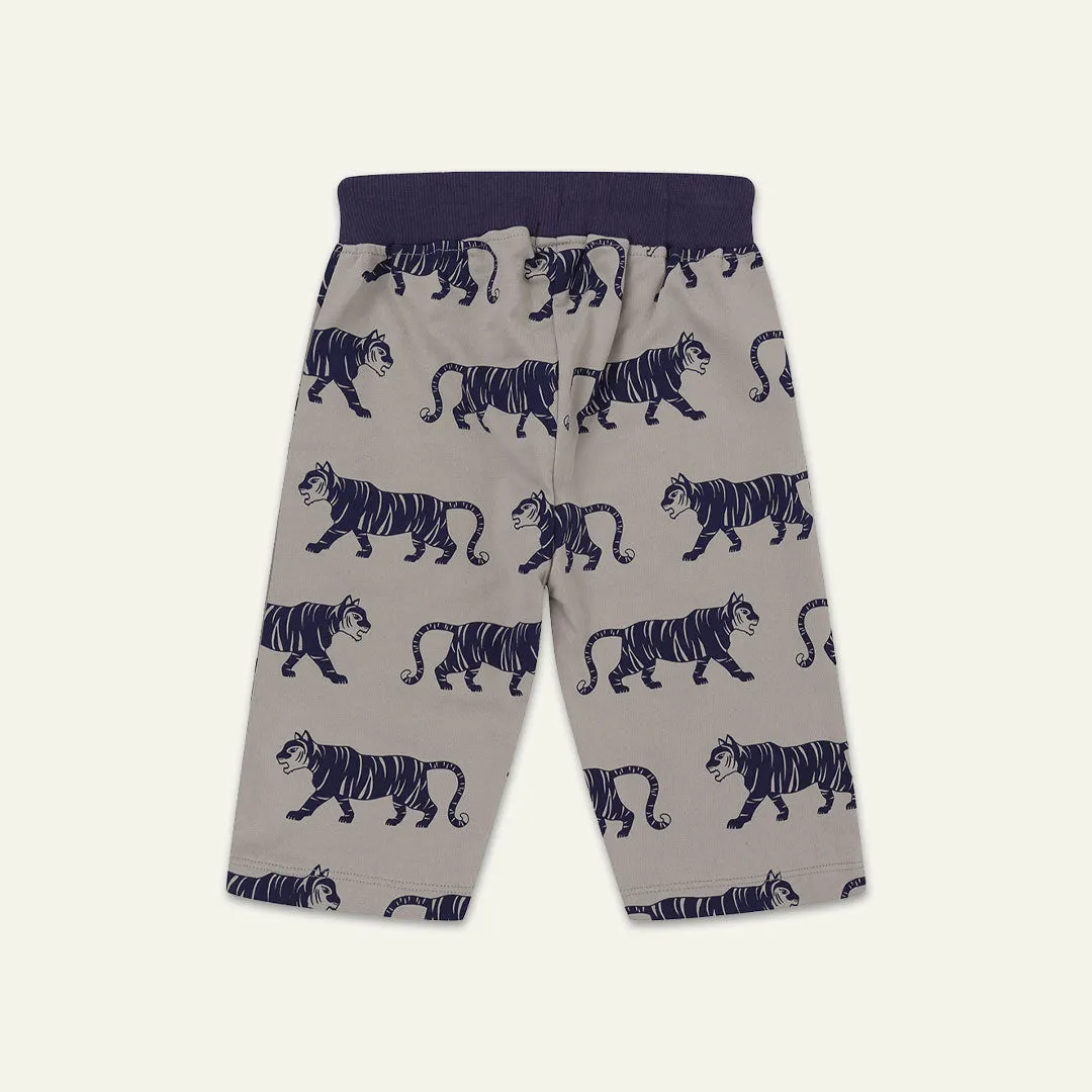 Multicoloured Tiger And Stripe Shorts - 2 Pack