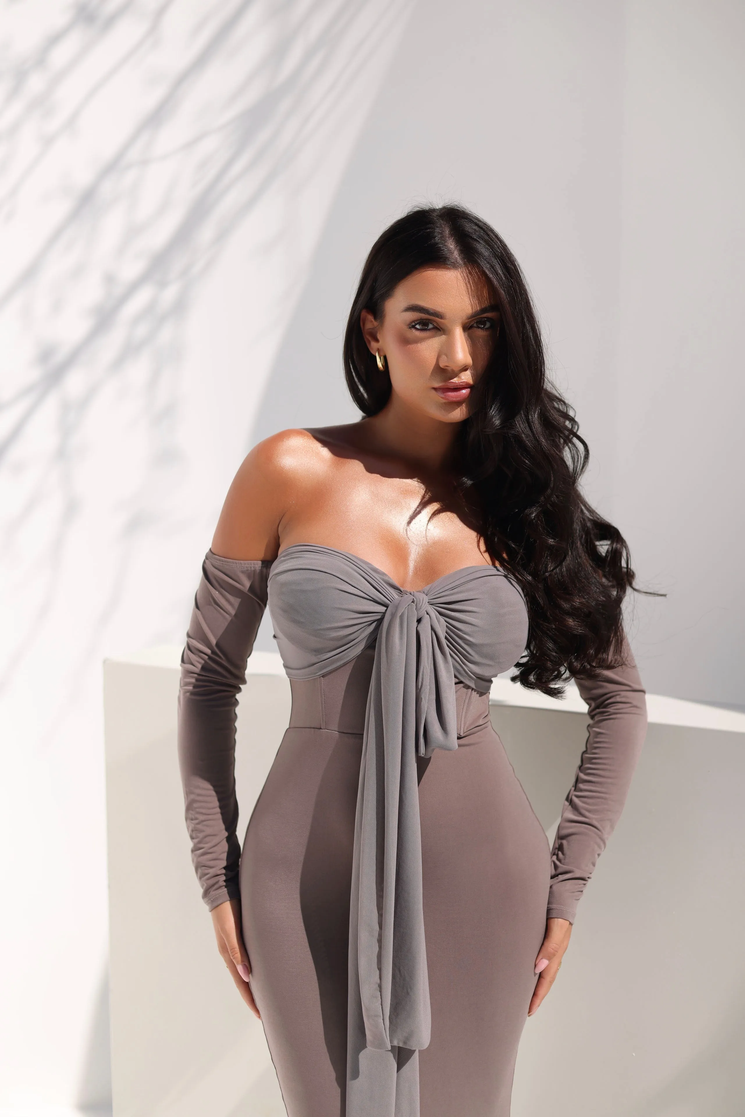 Nellie Taupe Dress