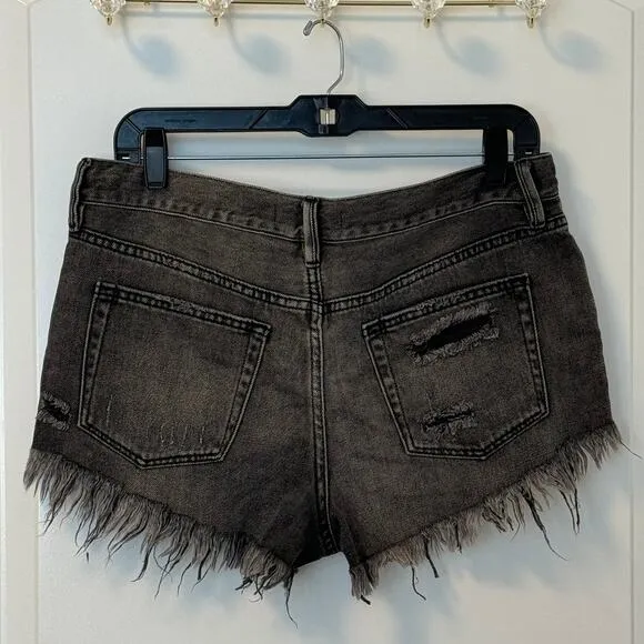 NWT Free People We The Free Loving Good Vibrations Shorts