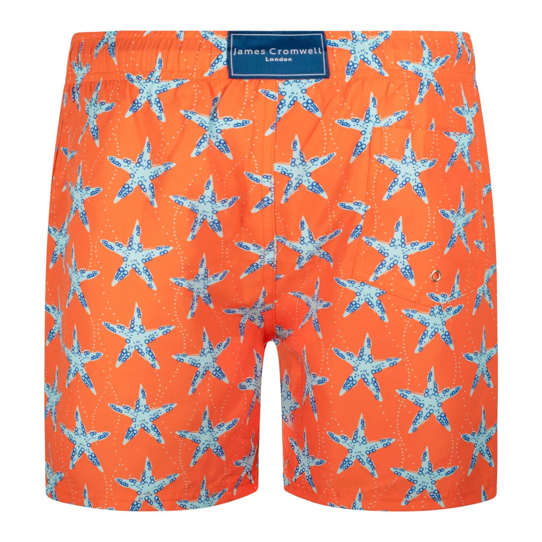 Orange Starfish