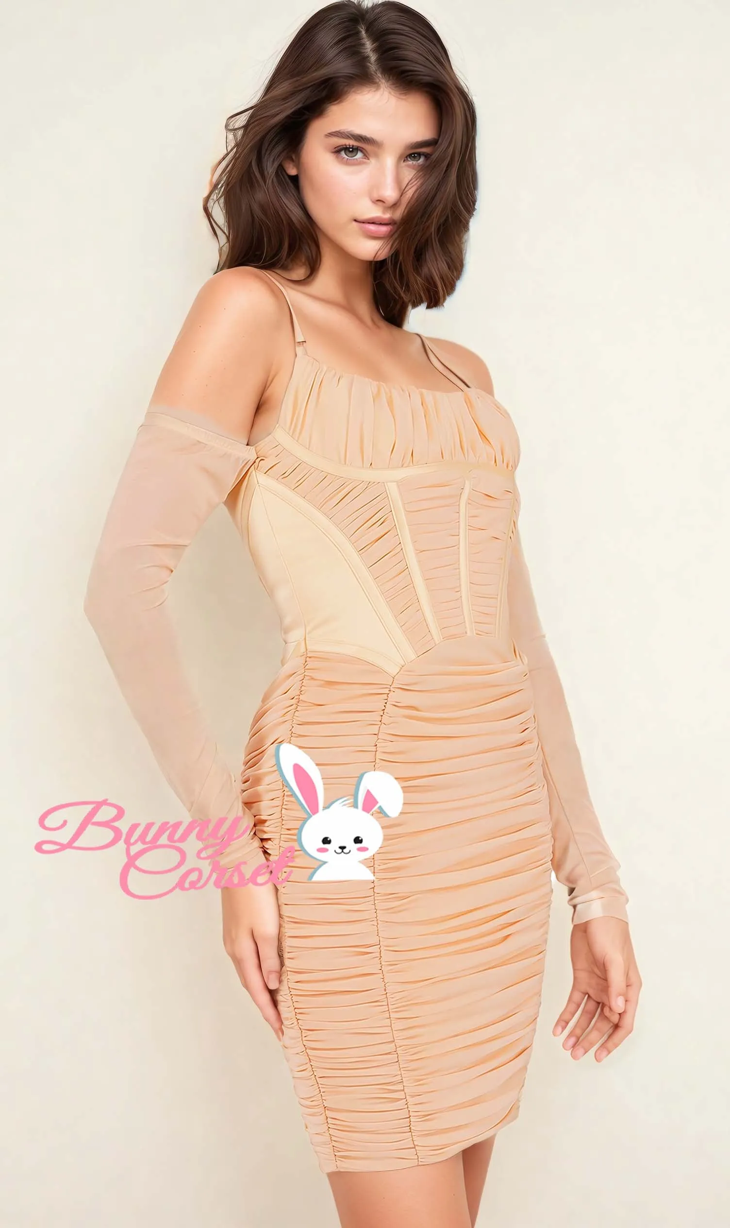 Raelyn Mesh Corset Dress
