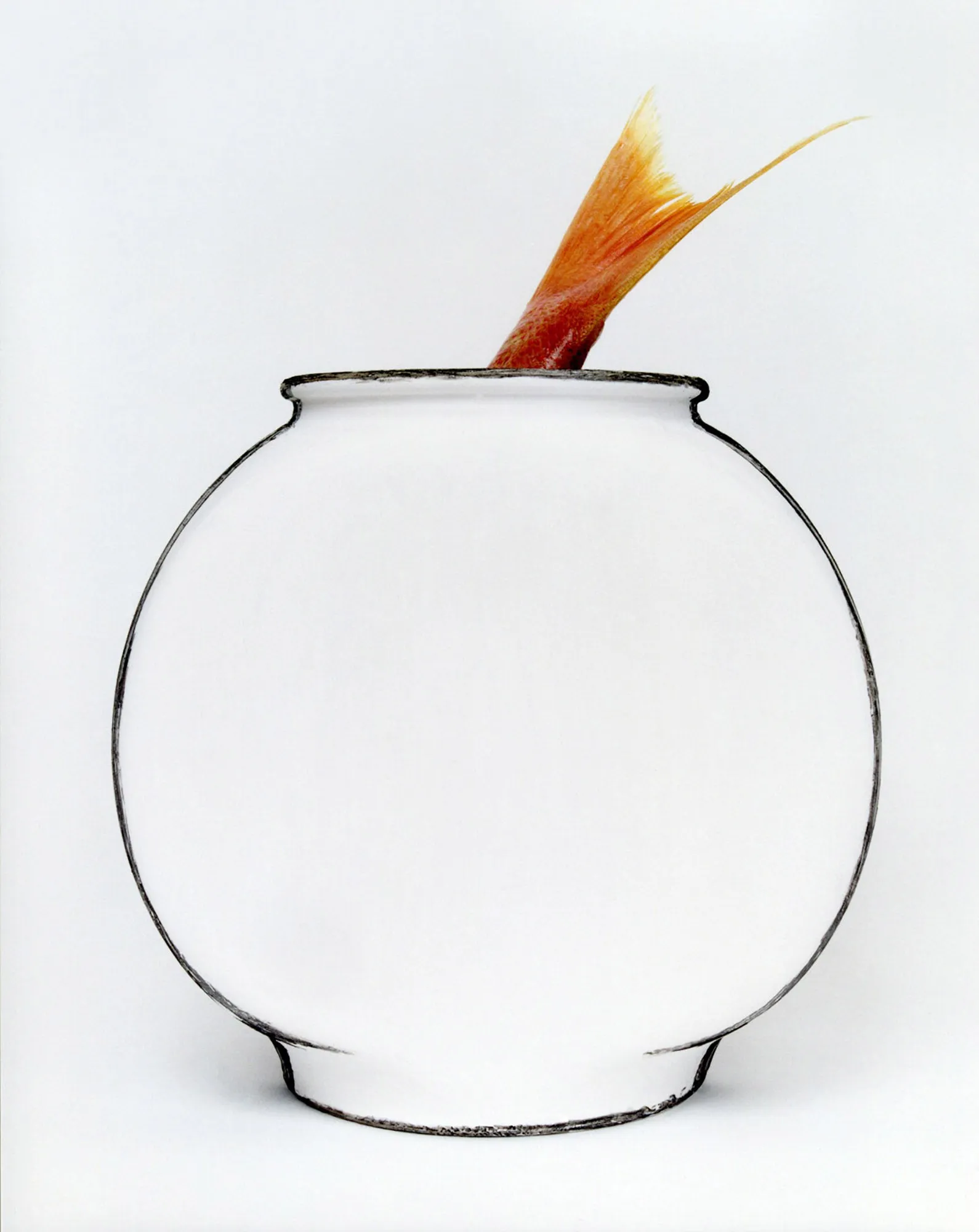 Representation No. 27 (fishbowl)