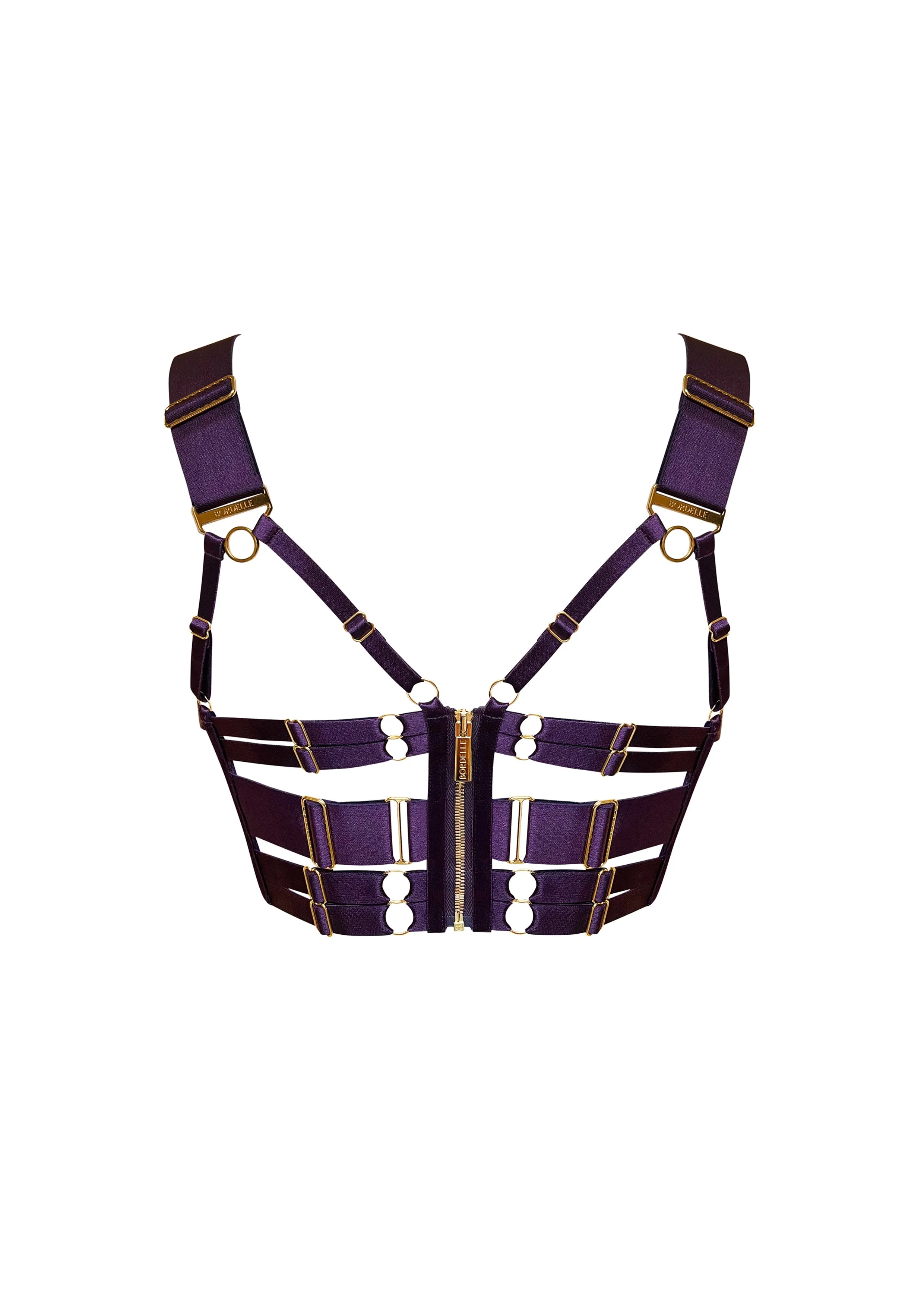 Retta Panelled Bodice Bra