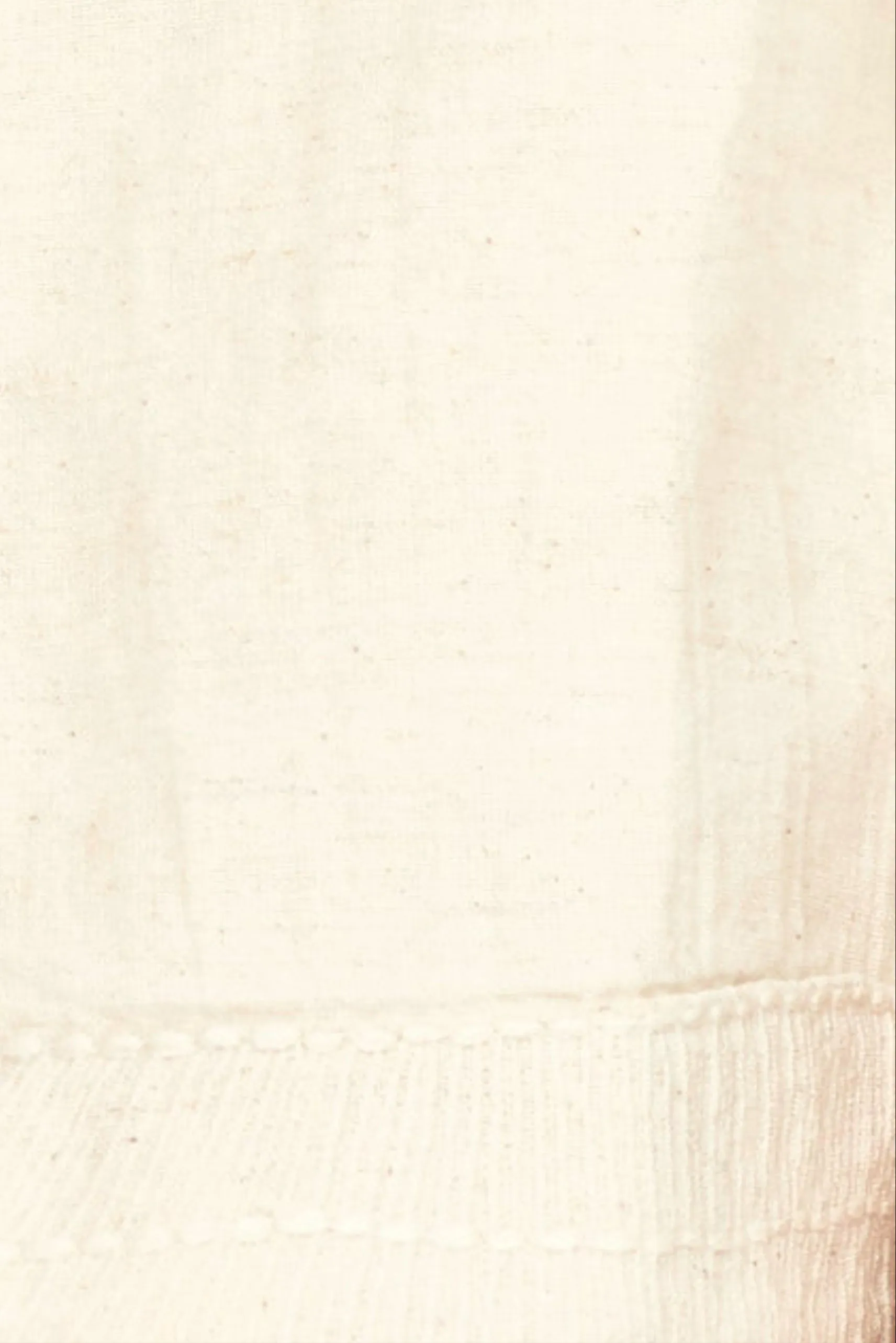 Seychelles Top in Oat Fossil