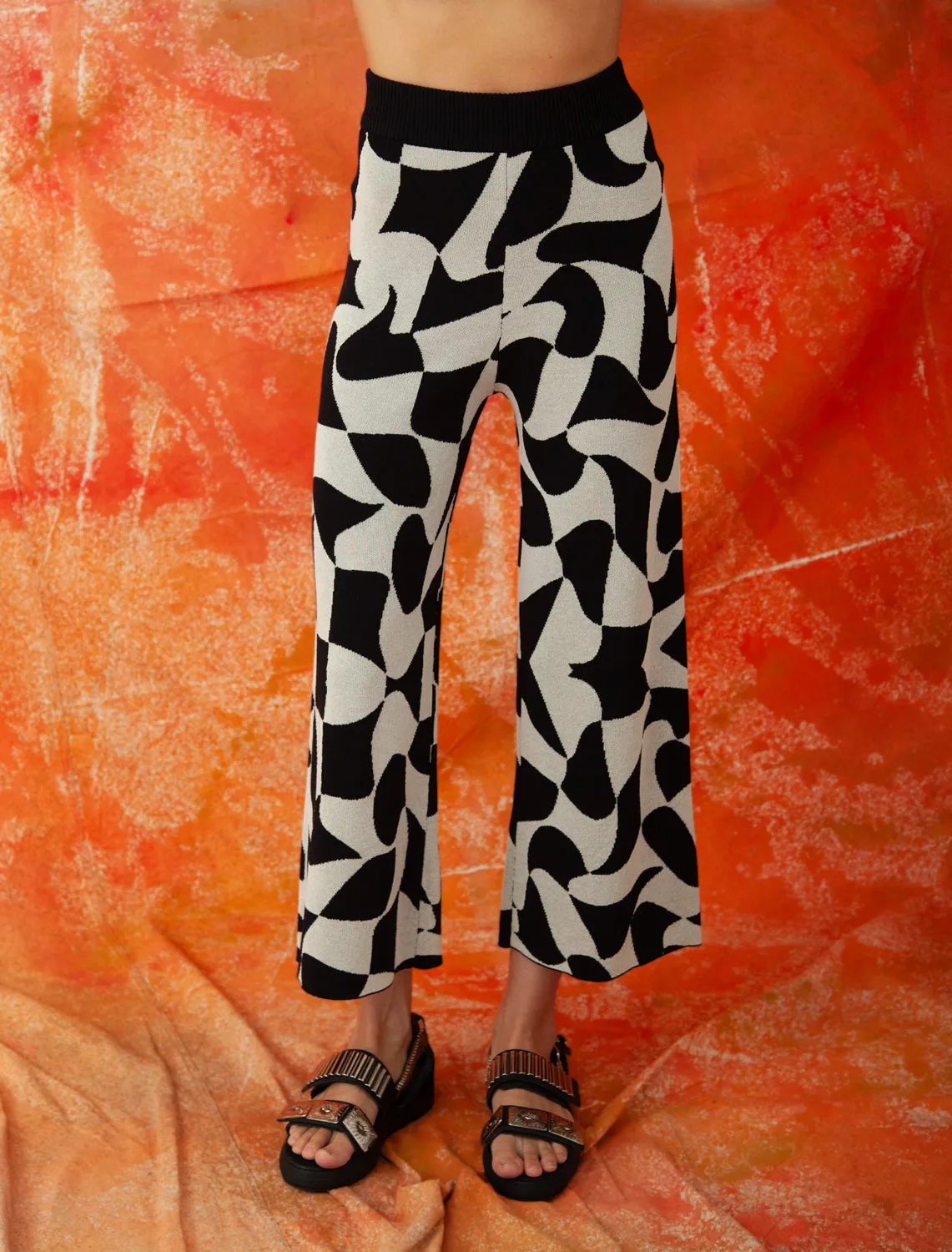 SHASHA PANT