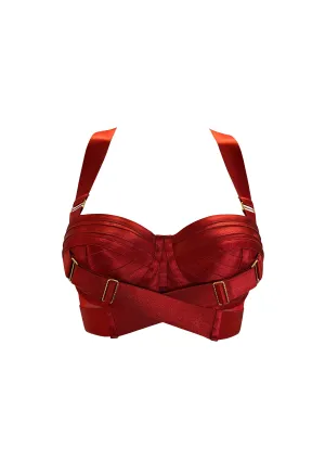 Signature Panelled Bodice Bra