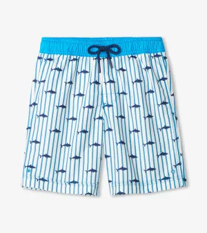 Silhouette Sharks Board Shorts