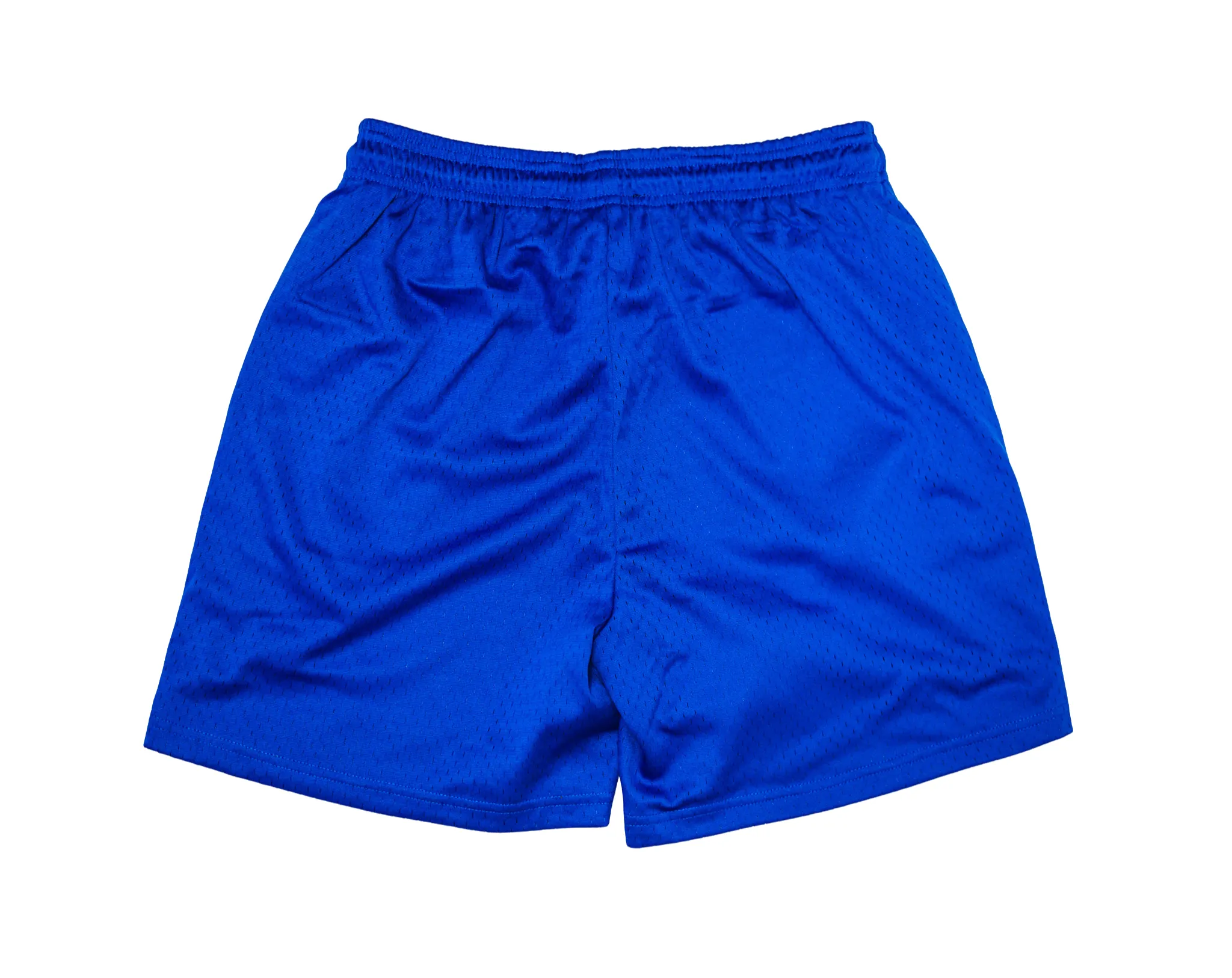Socially Selective Mesh Shorts (BLUE)