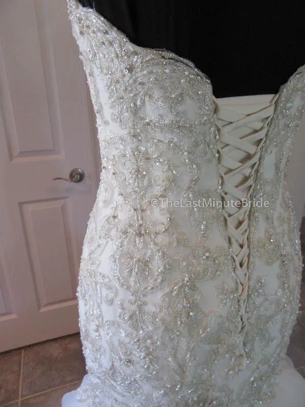 Sophia Tolli Amalfi Y21657