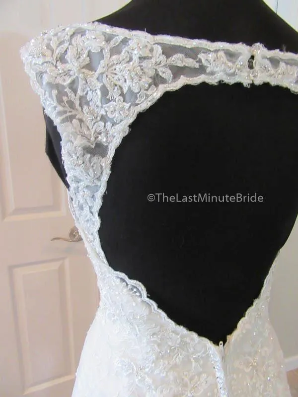 Sophia Tolli Kyle Y21515