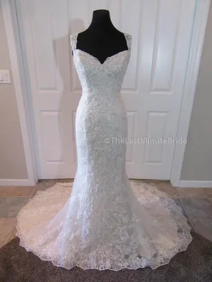 Sophia Tolli Kyle Y21515